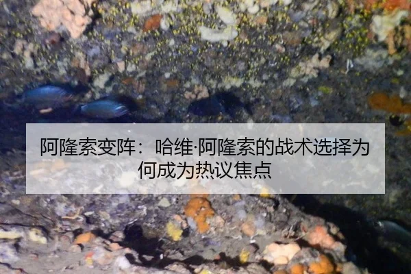 a-long-suo-bian-zhen-ha-wei-a-long-suo-de-zhan-shu-xuan-ze-wei-he-cheng-wei-re-yi-jiao-dian-2-522.jpg